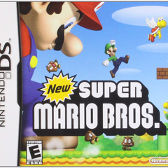 The Snow Plains - Versus Mode (NSMB DS)