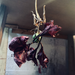 everywhere I go ft. ComeUpRepx (Prod. eric godlow)