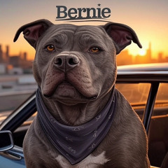 Dru G - Bernie