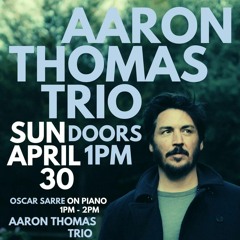 08 - I'm Writing A Novel (Father John Misty cover) - Aaron Thomas & Django Rowe