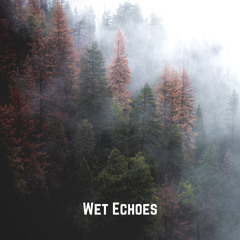 Wet Echoes - Cosy Lazy Weekend