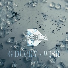 GDucky - Wish (DBaola Remix)
