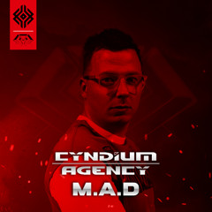 M.A.D - Cyndium Agency  Promotion mix 2025