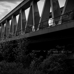 Michael Kettler - Metaphase TLM Master