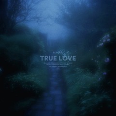 Echoes_  - true love [Lost Sounds release]