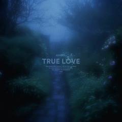 Echoes_  - true love [Lost Sounds release]