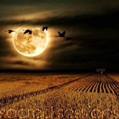 Sacred Sessions: Taurus Full Moon (10.25.2023)