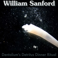 Dentalium's Detritus Dinner Ritual