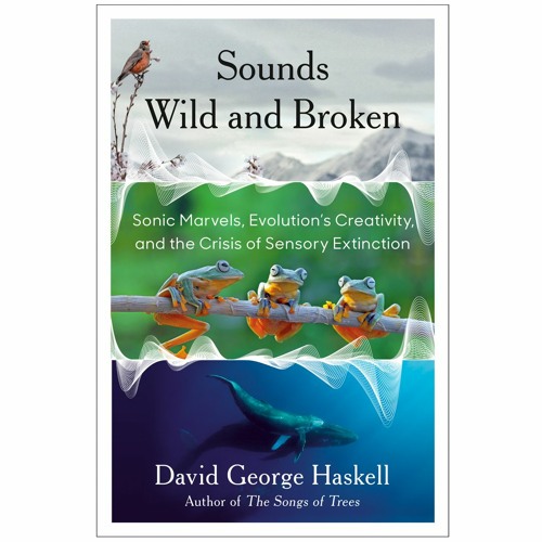 Outboard Engine Amid Snapping Shrimp (Sounds Wild and Broken)