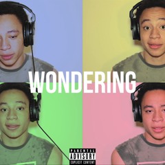 Wondering (2018)