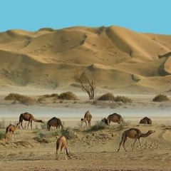 New_Song_Ant_Mas_Ny_Balochistan_Singer_Jawad_Adil_Mureed_baloch.mp3