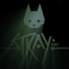 Stray - The Notebooks