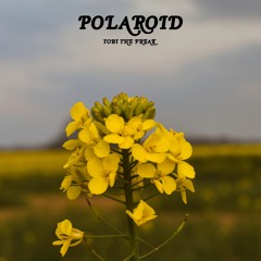 POLAROID - 18.08.21