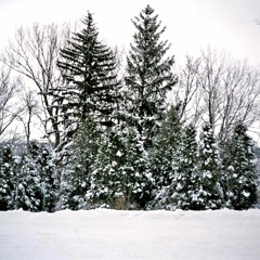 "Paysages d'hiver", par Albert; Mixage, révision et sonorisation par Albert [lien vidéo]
