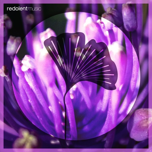 RDT088 Darksidevinyl, Mariosh - Jameela