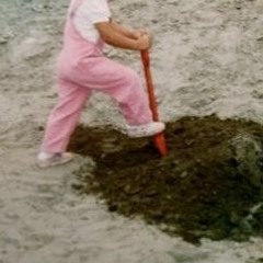 snails are already home