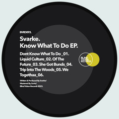 Svarke - Of the Future (Original Mix)