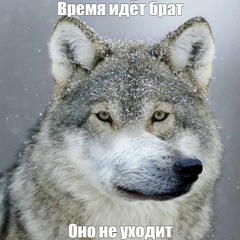ВЕДЬ ТЫ БЫЛА ОДНА