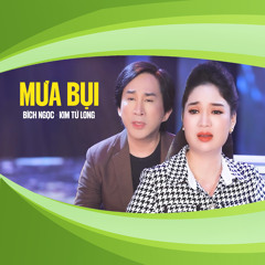 Mưa Bụi (feat. Kim Tử Long)