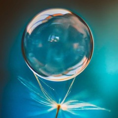Bubble 💭
