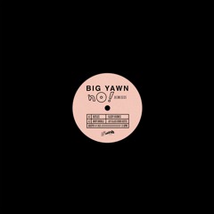 Premiere: Big Yawn - Body Double (Jay Glass Dubs Refix) [Research Records]