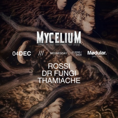 Mycelium 4th Dec 2024