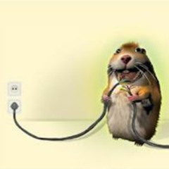 ificouldwriteyouasong