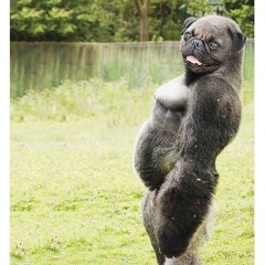 Into The Earth Cover