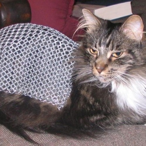 whats the point of all this time prod suhmari