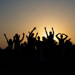 Don't Let Us Get Sick (Cover)