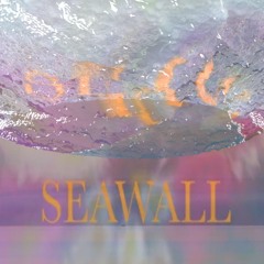 Seawall by NEEV - Purify Me Remix
