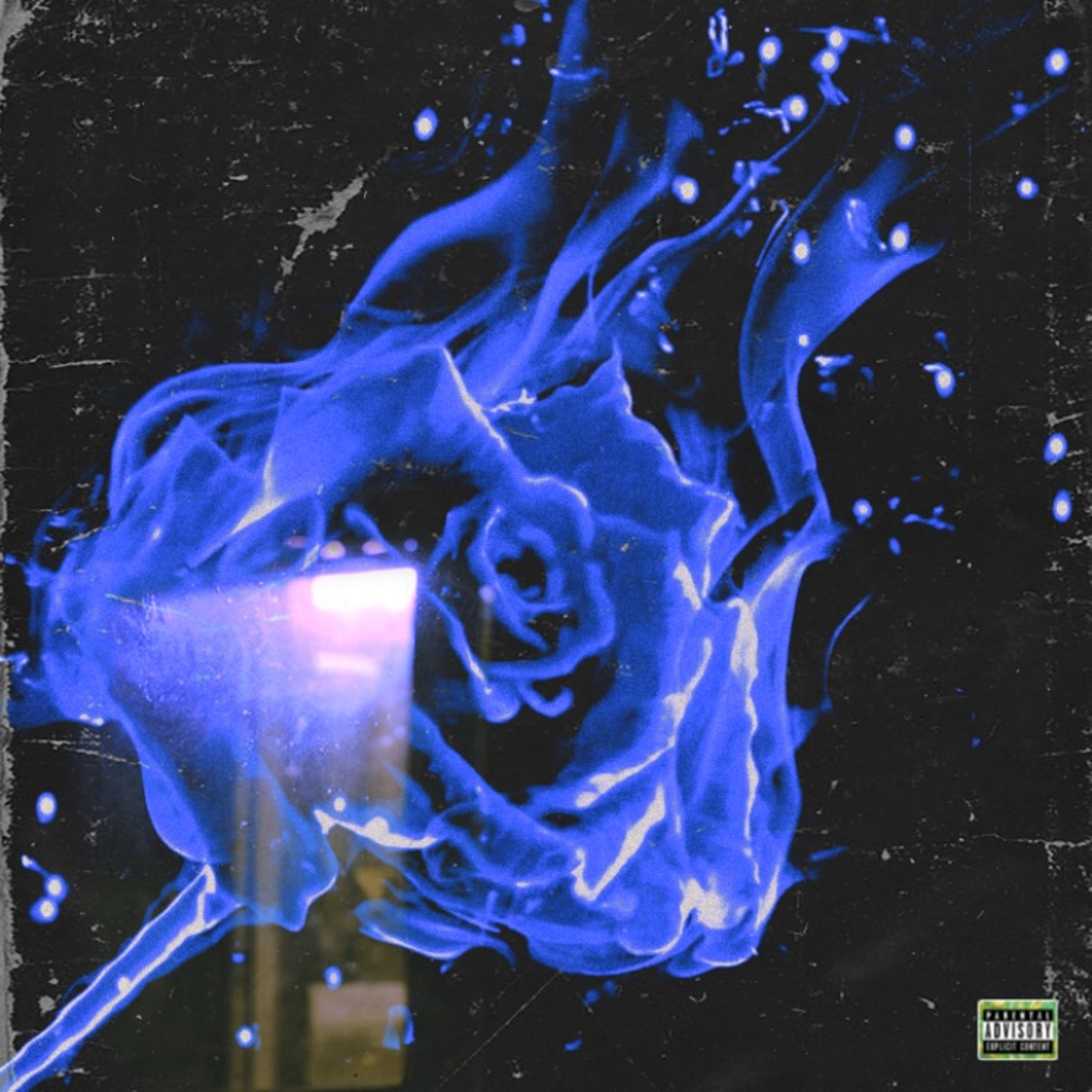 LOVEMEFRVR