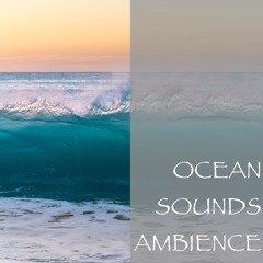 Night Waves