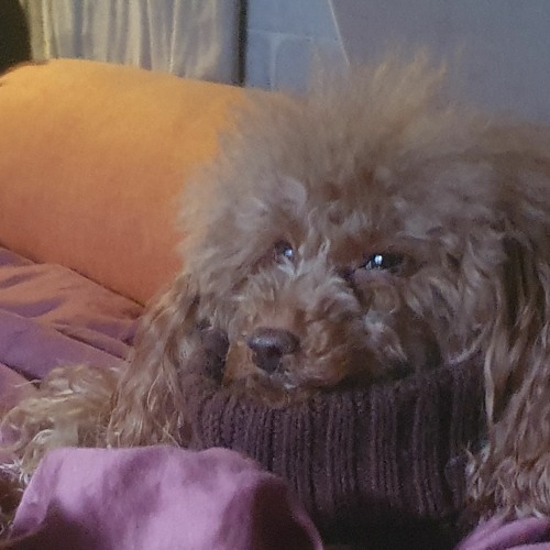 Yu Yu Hakusho (OST) - Romantic