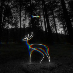 5nak - Vagabond