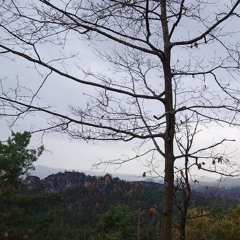 Als das alles begann