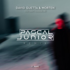 David Guetta & MORTEN ft. Raye - You Can't Change Me (Pascal Junior Remix)