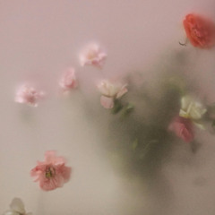 for i love and let live (140bpm C Major)
