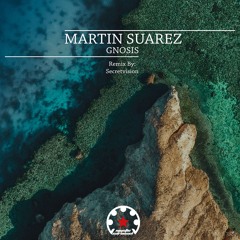 Martin Suarez - Gnosis (Secretvision Remix)