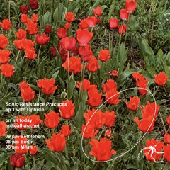 ophélie - Sonic Resistance Practices ep 1; cc Radio Alhara