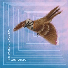 1. Amel Amaru - Caleto