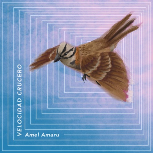 1. Amel Amaru - Caleto