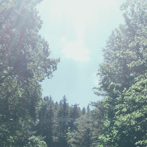 Light Rays