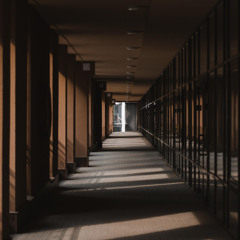 影を歩く Walking_in_the_Shadows