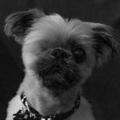 Stephen Walking x Road Lizard - On Slice