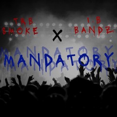Mandatory x IB BVNDZ
