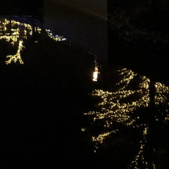 サーカスナイト cover