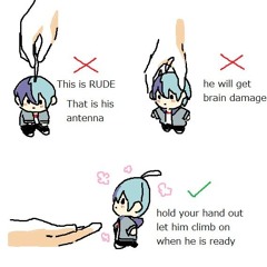 BPM15Q Across universe