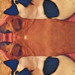 Agent K - Dog-Eat-God