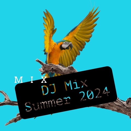 Stream DJ Mix Summer 2024 by DJ Nodis | Listen online for free on ...